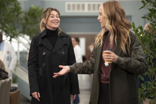 Ellen Pompeo Is Grey's Anatomy's Only Hope to Survive Season 21 - image 2