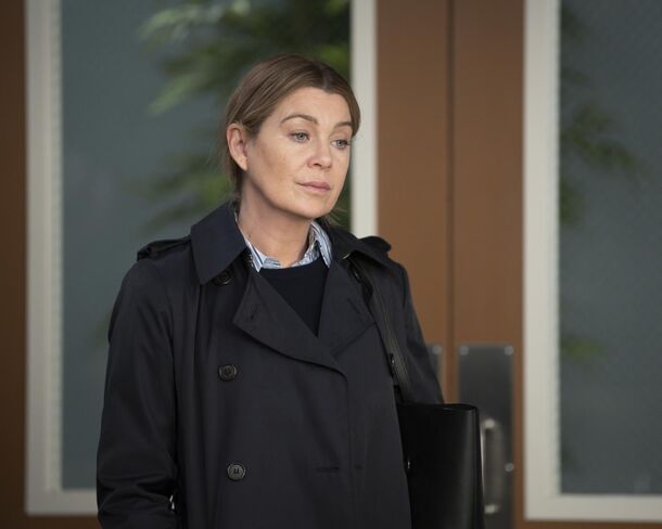 Ellen Pompeo Is Grey's Anatomy's Only Hope to Survive Season 21 - image 1