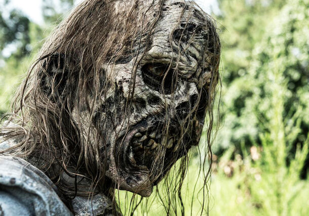 Massive Walking Dead Plot Hole Proves Zombie Apocalypse Was Never a Threat - image 2