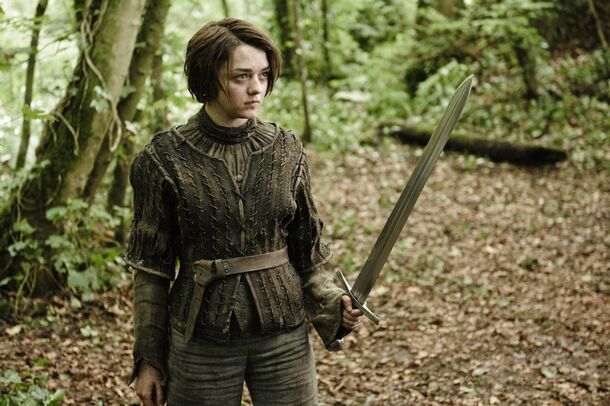 Maisie Williams Suffered a Real-Life Injury Because of Her Game of Thrones Character - image 1