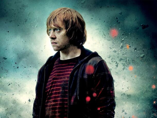 Harry Potter Fans Who Genuinely Dislike This Iconic Character... What's Up with You? - image 1