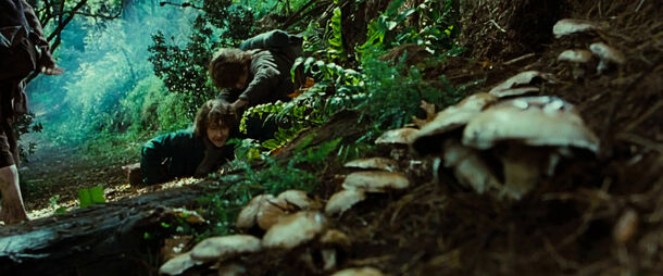 Subtlest Homage to Tolkien in LoTR Movies Only True Fans Will Notice - image 1