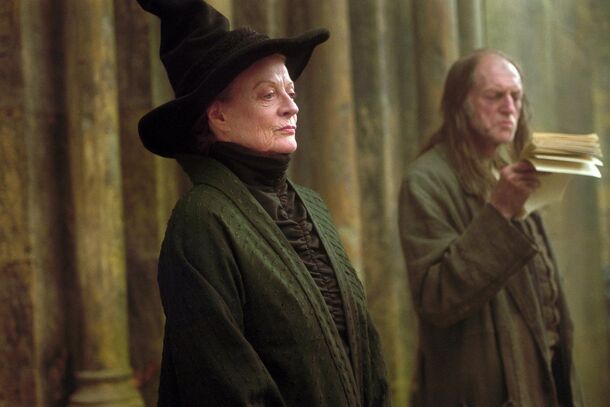 5 Harry Potter Characters That Will Be Near-Impossible to Recast for HBO Series - image 5