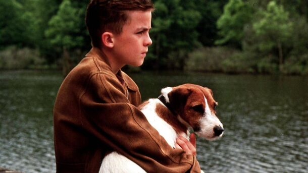 Top 10 Movies Where the Dog Should Have Won an Oscar - image 8