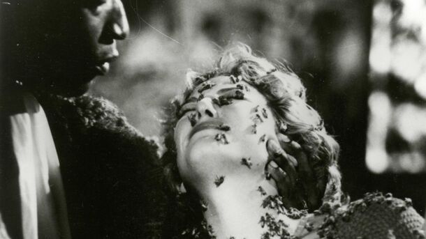 15 Classic Horror Films, Ranked by How Many Nightmares They Gave Us - image 10