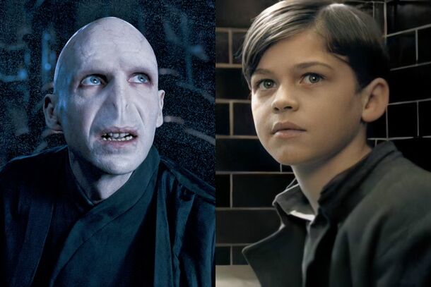 All the Family Duos Who Were in Harry Potter, Ranked - image 3