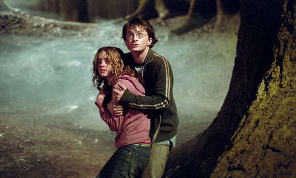 5 Harry Potter Facts You Got Wrong If You Only Watched the Movies - image 1