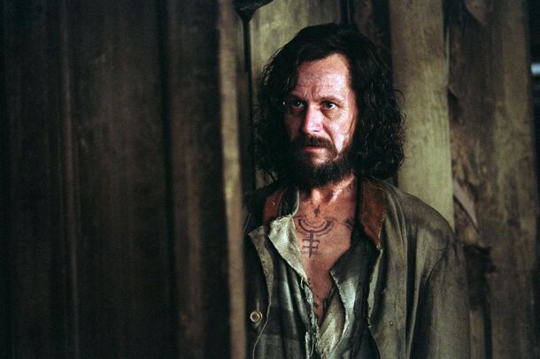 Gary Oldman Reveals His Biggest Mistake in Harry Potter Films - image 3