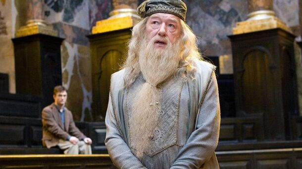 In Harry Potter, Did Dumbledore Really Raise Harry 'Like a Pig for Slaughter?' - image 1