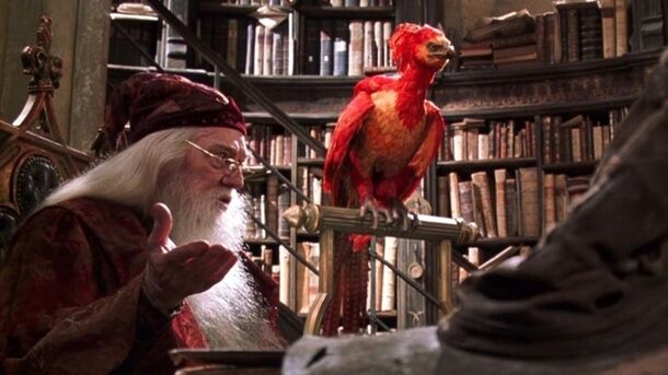 10 Iconic Harry Potter Pets, Ranked by How Likely They Are to Defend or Kill You - image 7