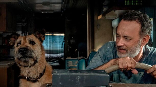 10 Best Movies About Dogs to Heal Your Soul and Heart - image 2