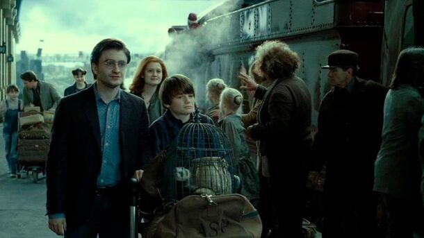 Best Harry Potter Sequel Idea Ever Either Needs Radcliffe or Is a Decade Away - image 3