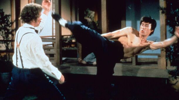 10 Best Martial Arts Movies For Hardcore Fans of Bruce Lee and Jackie Chan - image 3