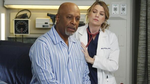 One Grey's Anatomy Character Who Has to Retire Before His Arc Gets Butchered - image 1