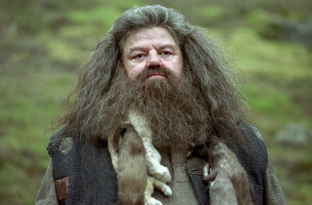 Insane Harry Potter Theory Suggests Hagrid is... a Death Eater - image 1