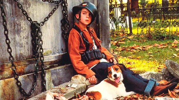 10 Best Movies About Dogs to Heal Your Soul and Heart - image 4