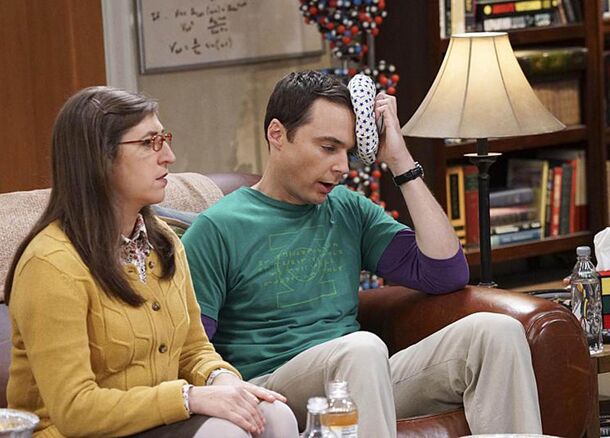 TBBT Fans Ranked Series Couples, And You Won't Believe Who Got First Place - image 3