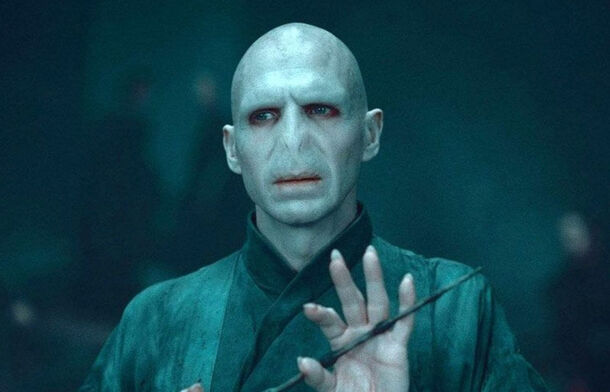 Harry Potter's Most Misunderstood Character Had Everything to Do with Voldemort's Fate - image 2